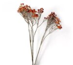 Cette image montre une fleur artificielle orange. Fleur artificielle extérieur.