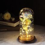rose-galaxy-sous-cloche
