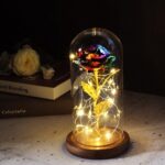 rose-eternelle-multicolore