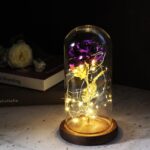 rose-eternelle-violette