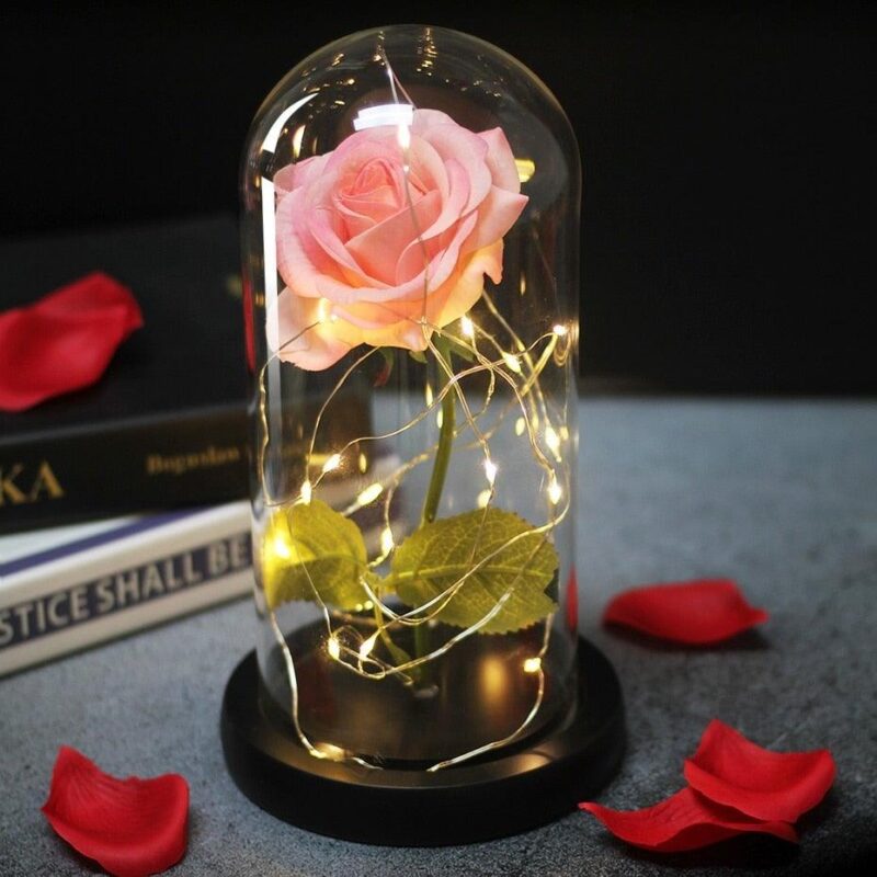 vraie-rose-eternelle-sous-cloche