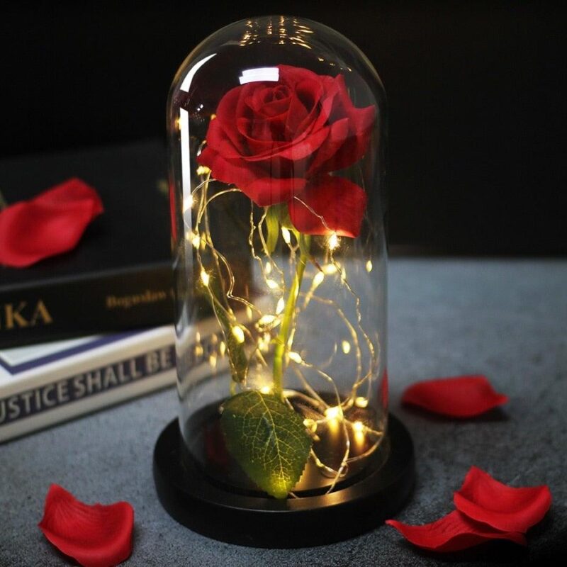 rose-eternelle-rouge-sous-cloche
