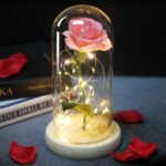 rose-eternelle-rose