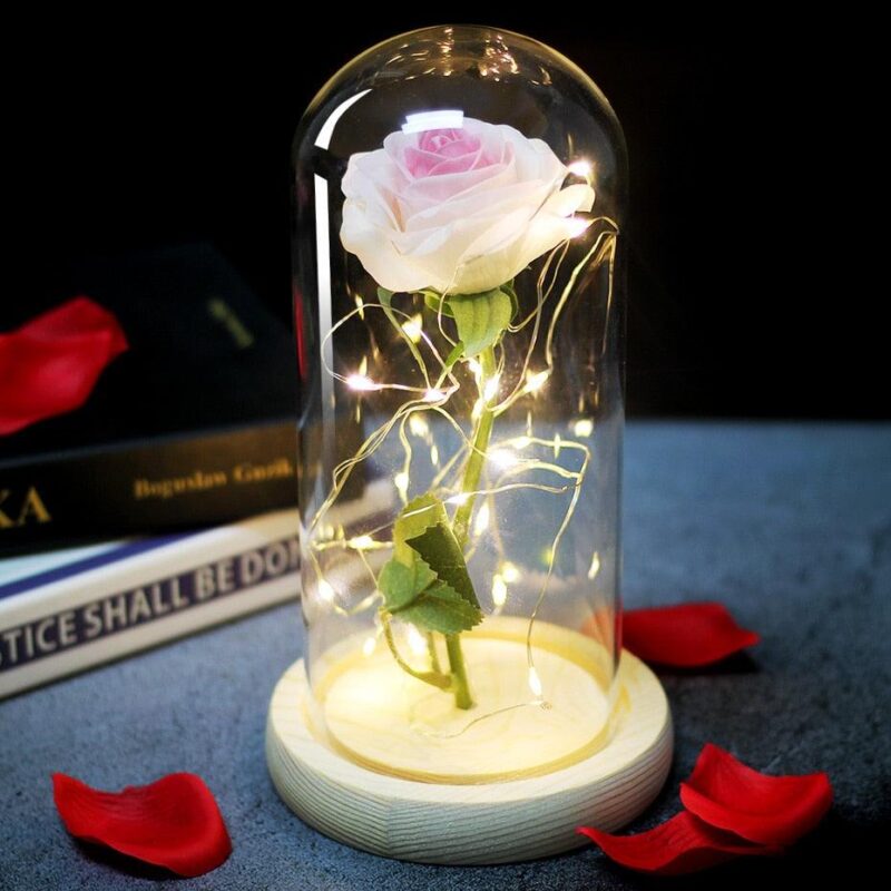 rose-eternelle-rose-pale