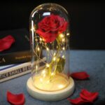 rose-eternelle-rouge