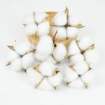 Cette image montre des boules de coton
