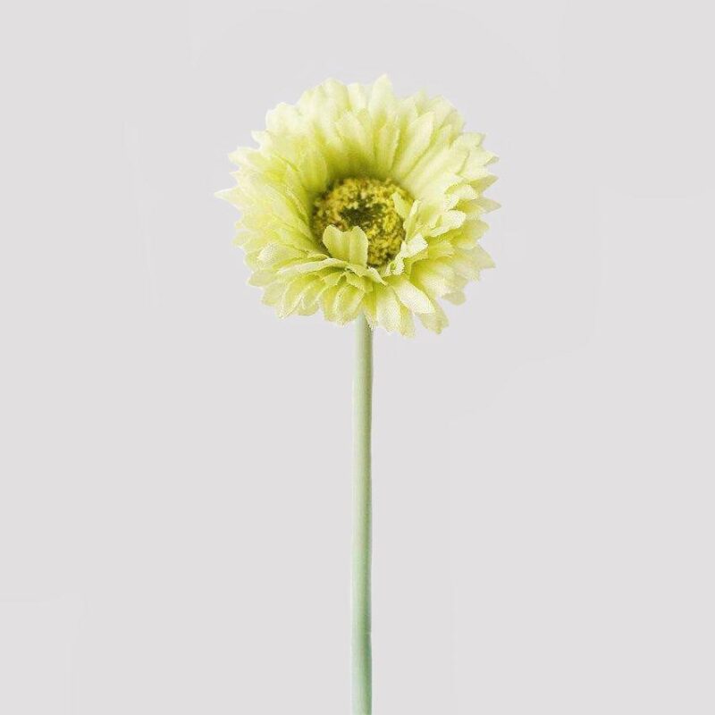 Cette image montre une marguerite artificielle verte. Cette fleur artificielle est pour extérieur