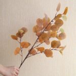 Cette image montre une branche d'une plante d'eucalyptus artificiel marron