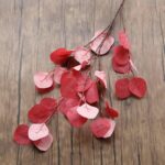 Cette image montre une branche d'une plante d'eucalyptus artificiel rouge