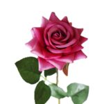 Cette image montre une rose artificielle haut de gamme en velours de couleur fuchsia